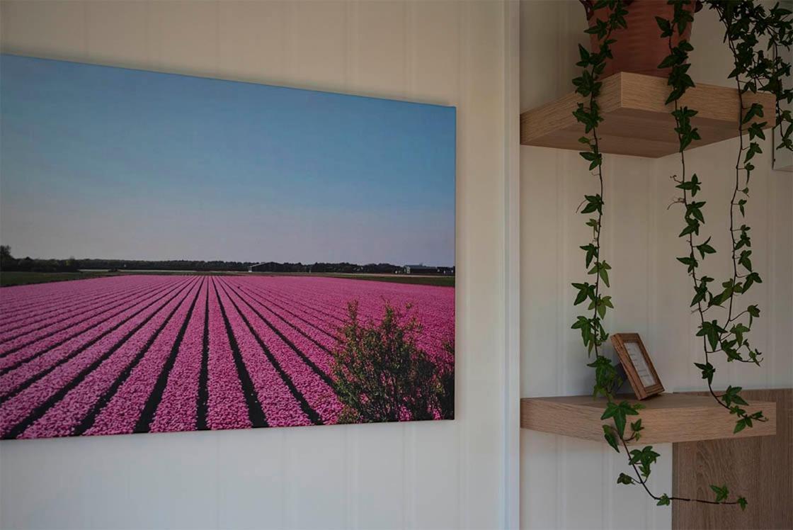 Bloem & Bed Bed & Breakfast 't Zand Екстериор снимка